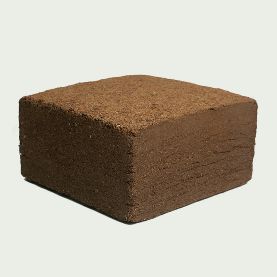 coco coir brick by medicoir